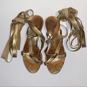 Dolce Gabbana Gold Leather Wrap Gladiator Sandals